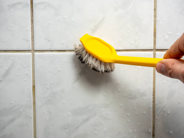 Best Residential Mold Removal  in Anthony, TX