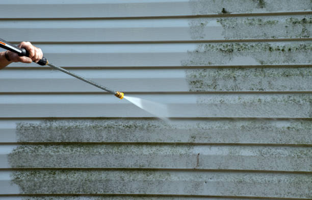 Certified Mold Removal in Anthony, TX