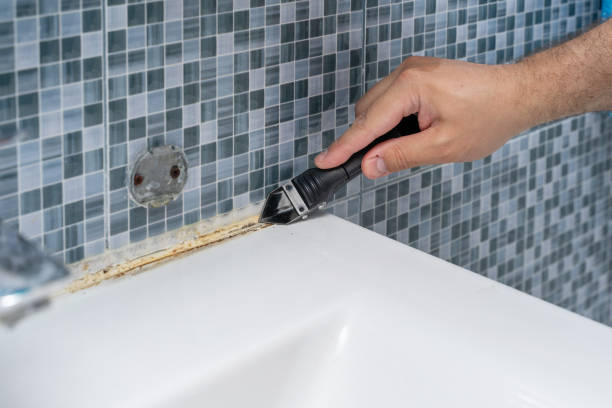 Mold Removal and Inspection in Anthony, TX