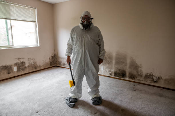 Best Crawl Space Mold Removal  in Anthony, TX